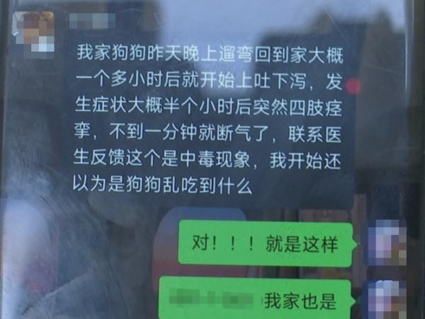 十几只宠物一夜之间离奇死亡小区业主很担忧！警方已介入→