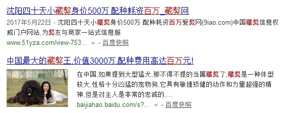 以前价值百万的藏獒，现在老板说：想要的来带走！